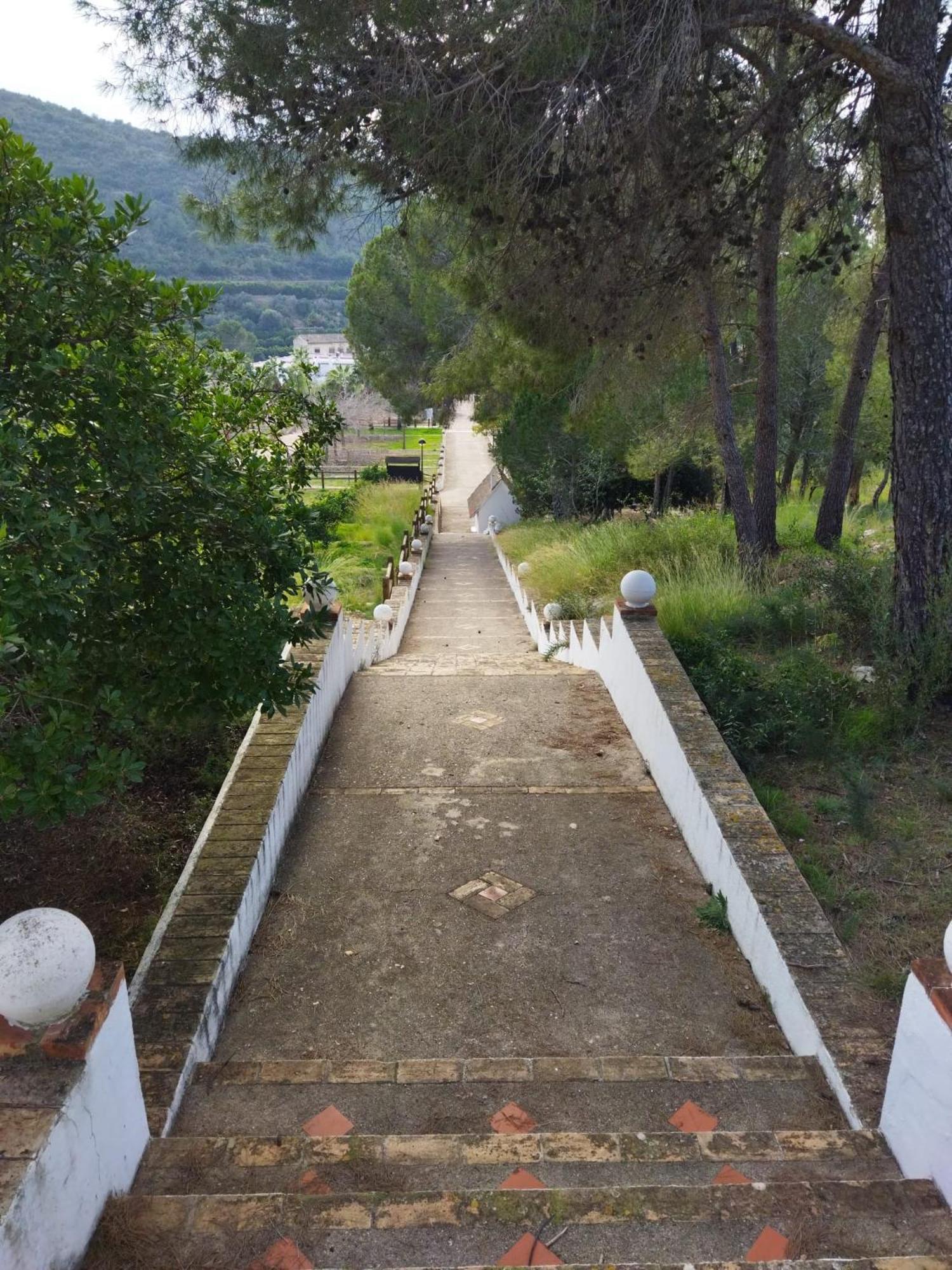 לינה וארוחת בוקר Casa Bienvenida - Carcaixent מראה חיצוני תמונה