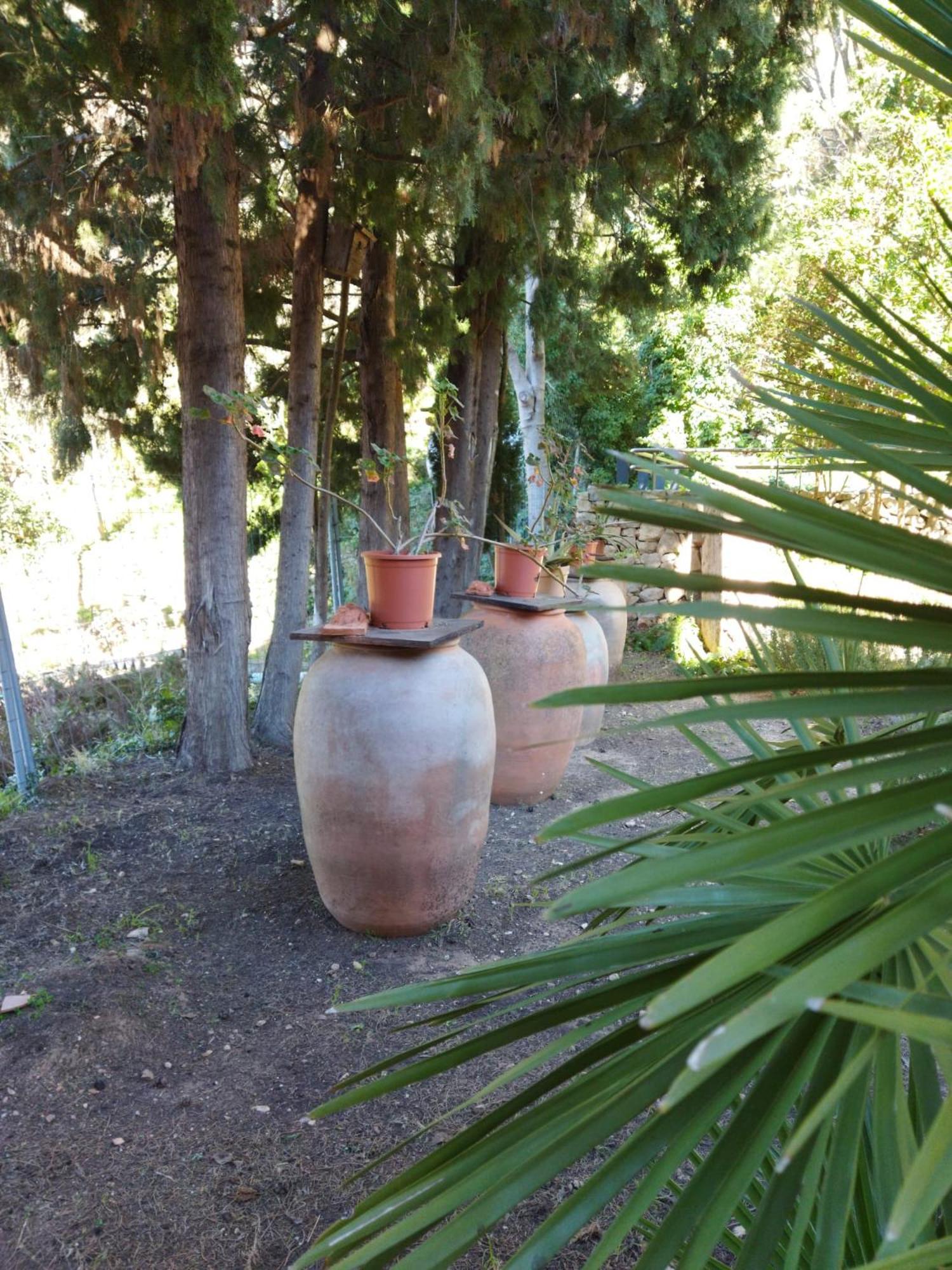 לינה וארוחת בוקר Casa Bienvenida - Carcaixent מראה חיצוני תמונה